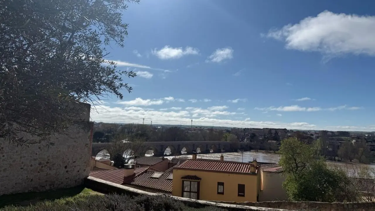 D&iacute;a soleado en zamora_5