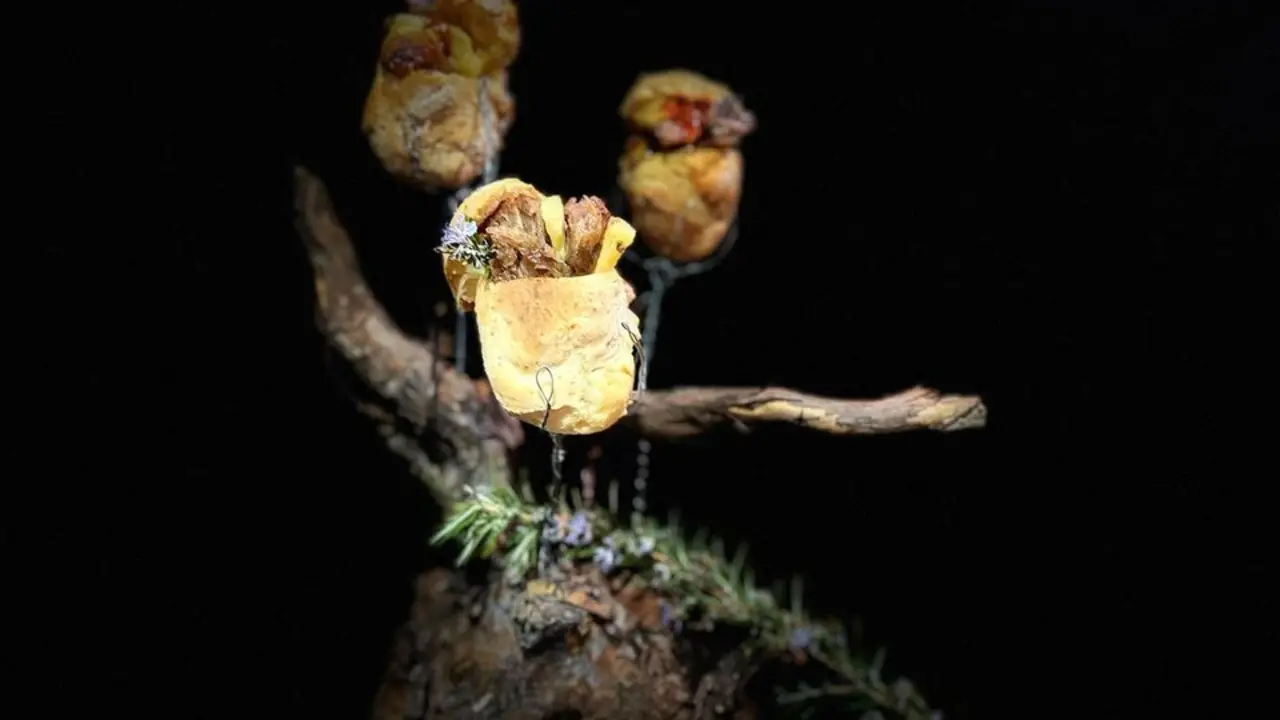 de tapas por zamora  (3)