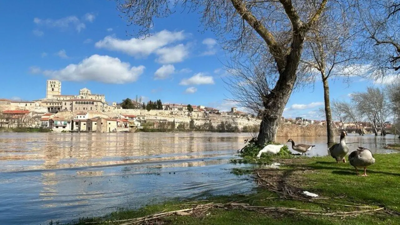 d&iacute;a soleado en Zamora _3