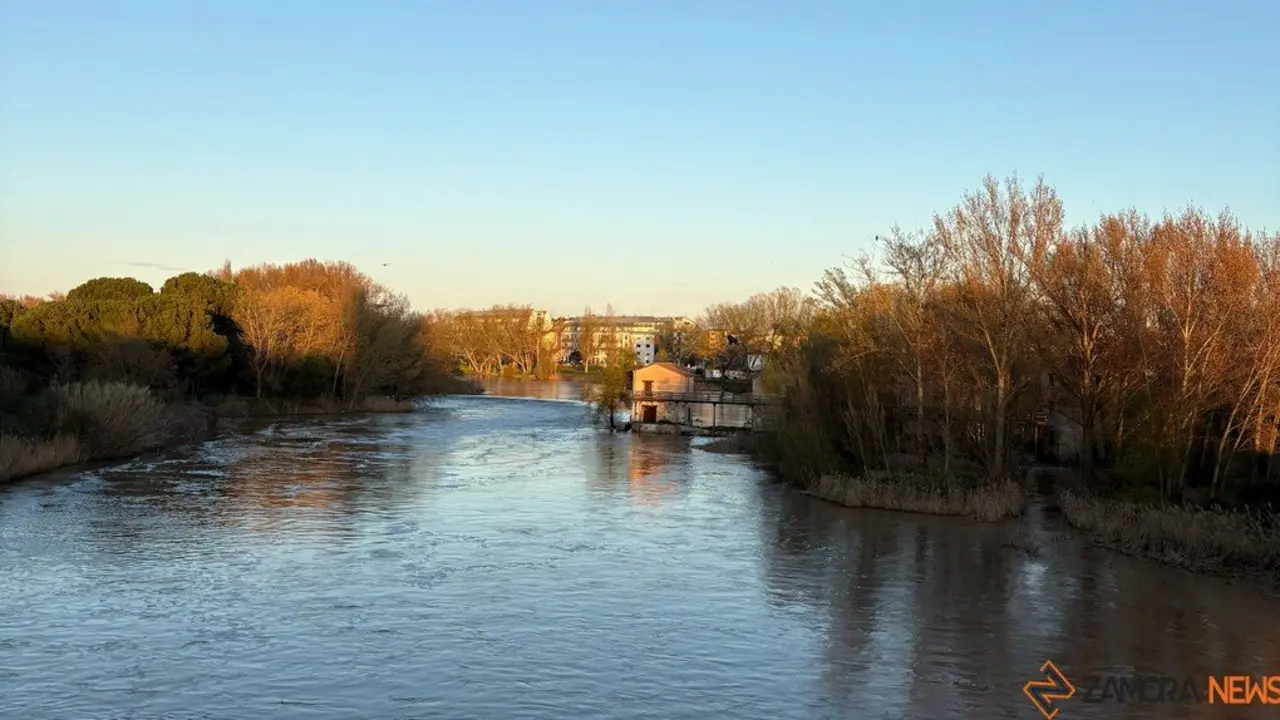D&iacute;a soleado Zamora