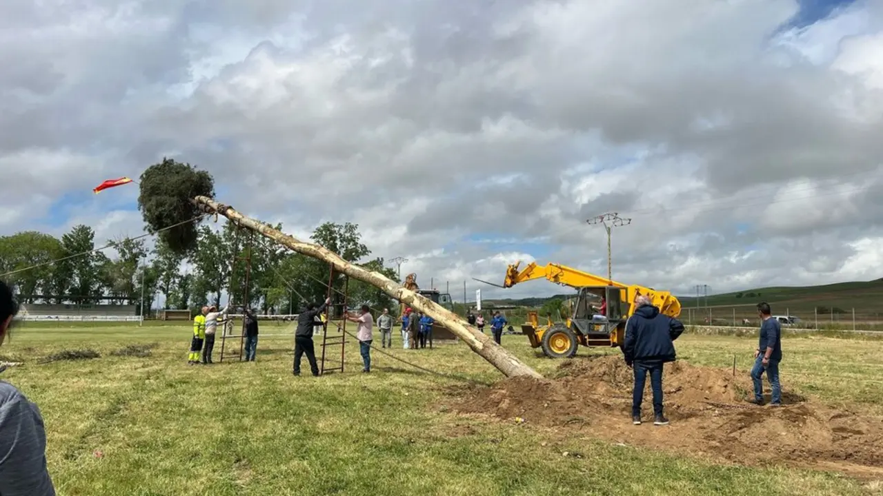 1 Mayo, Quintos Coreses