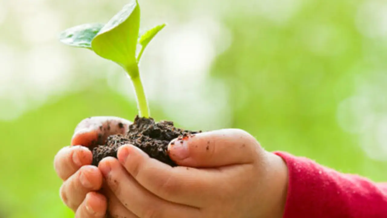 Salud Ambiental en la Escuela