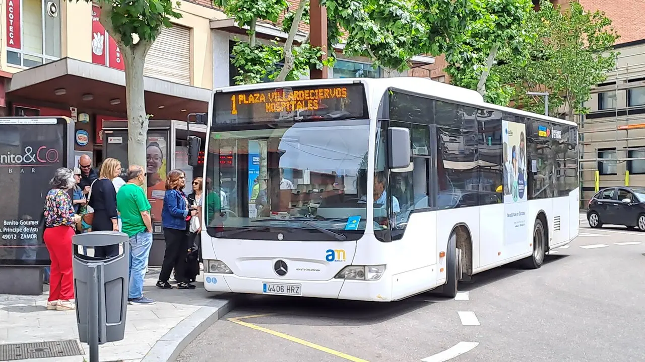 Autob&uacute;s L&iacute;nea 1 Zamora