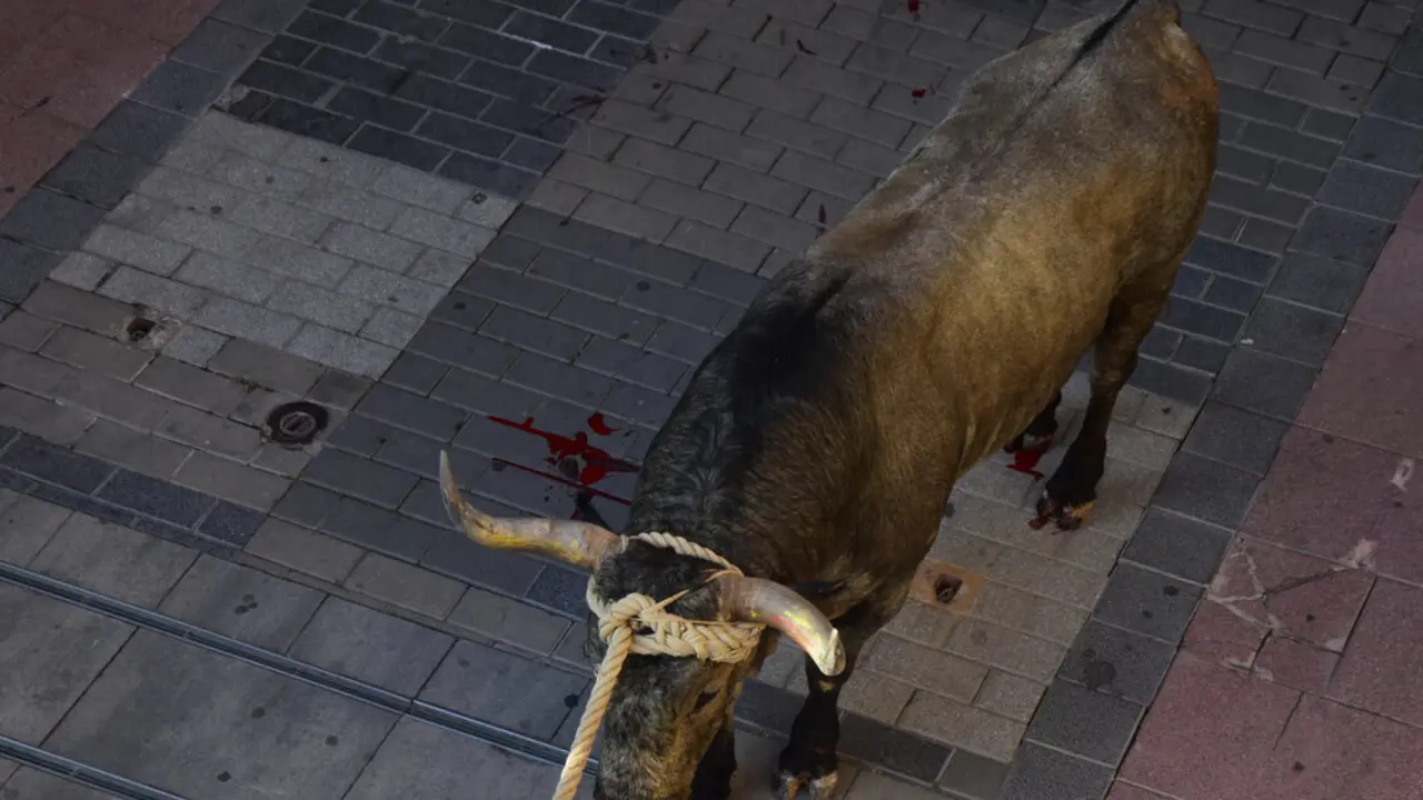 toro benavente 2025 (7)