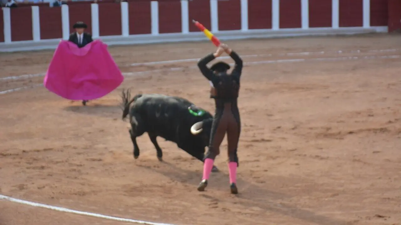 toros  y piraguas _129
