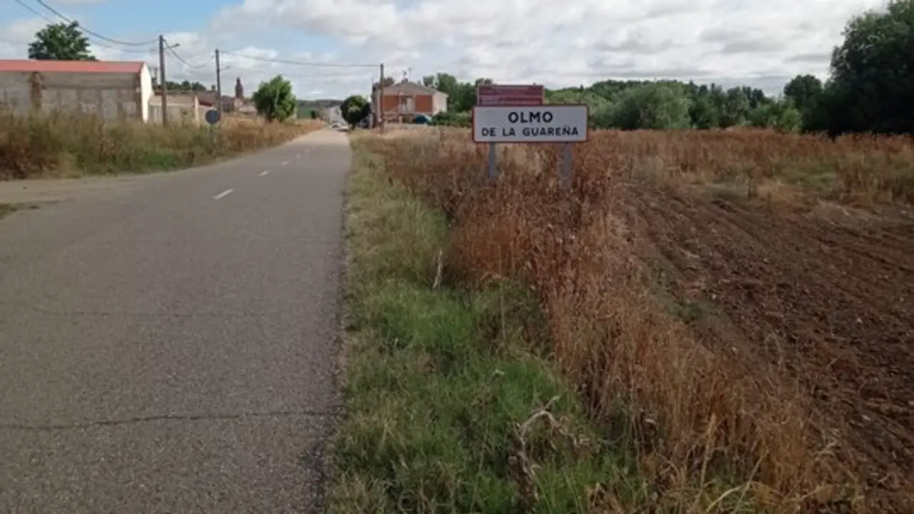 Olmo de la Guare&ntilde;a