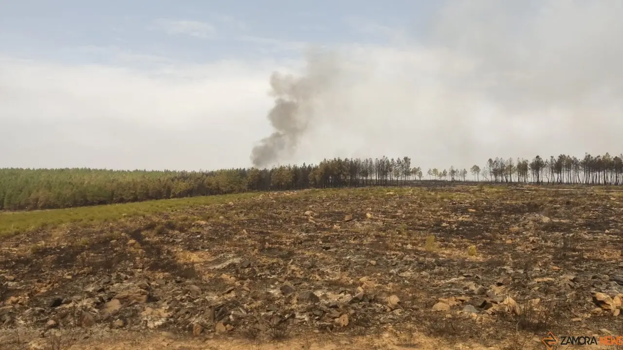 La UME act&uacute;a frente a los incendios que asolan&nbsp;Zamora