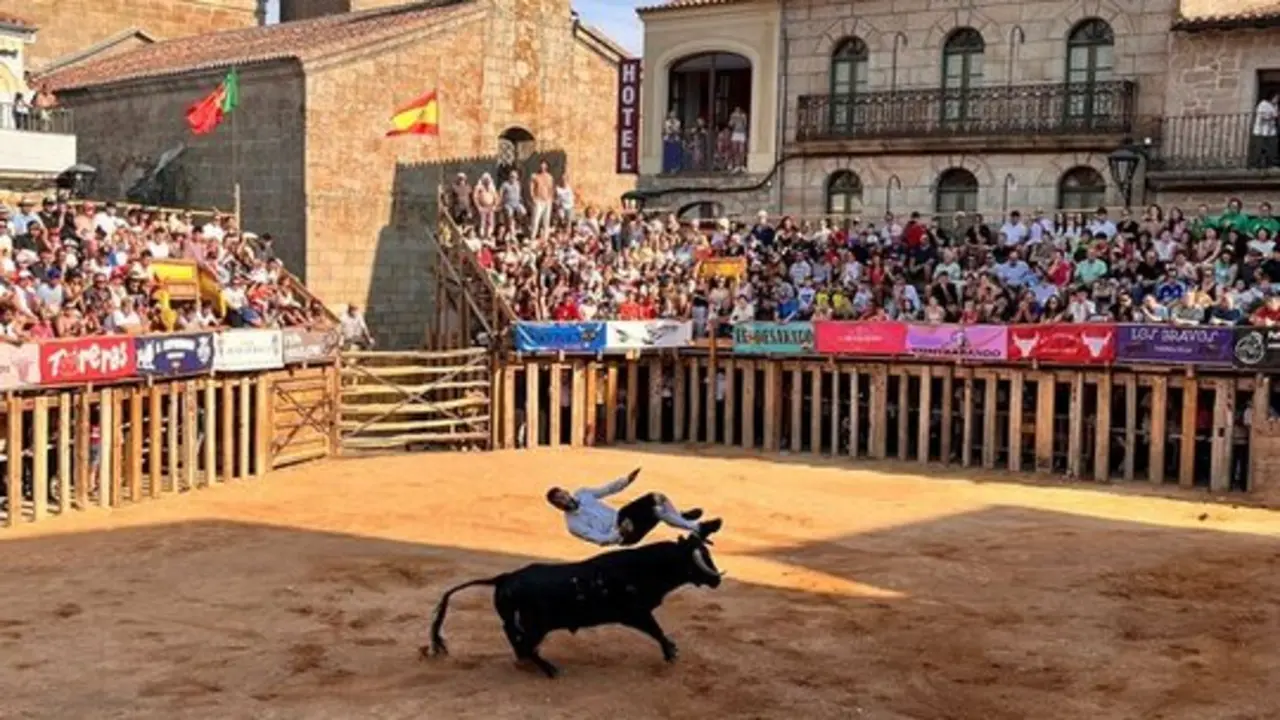 Concurso de Cortes Fermoselle_6