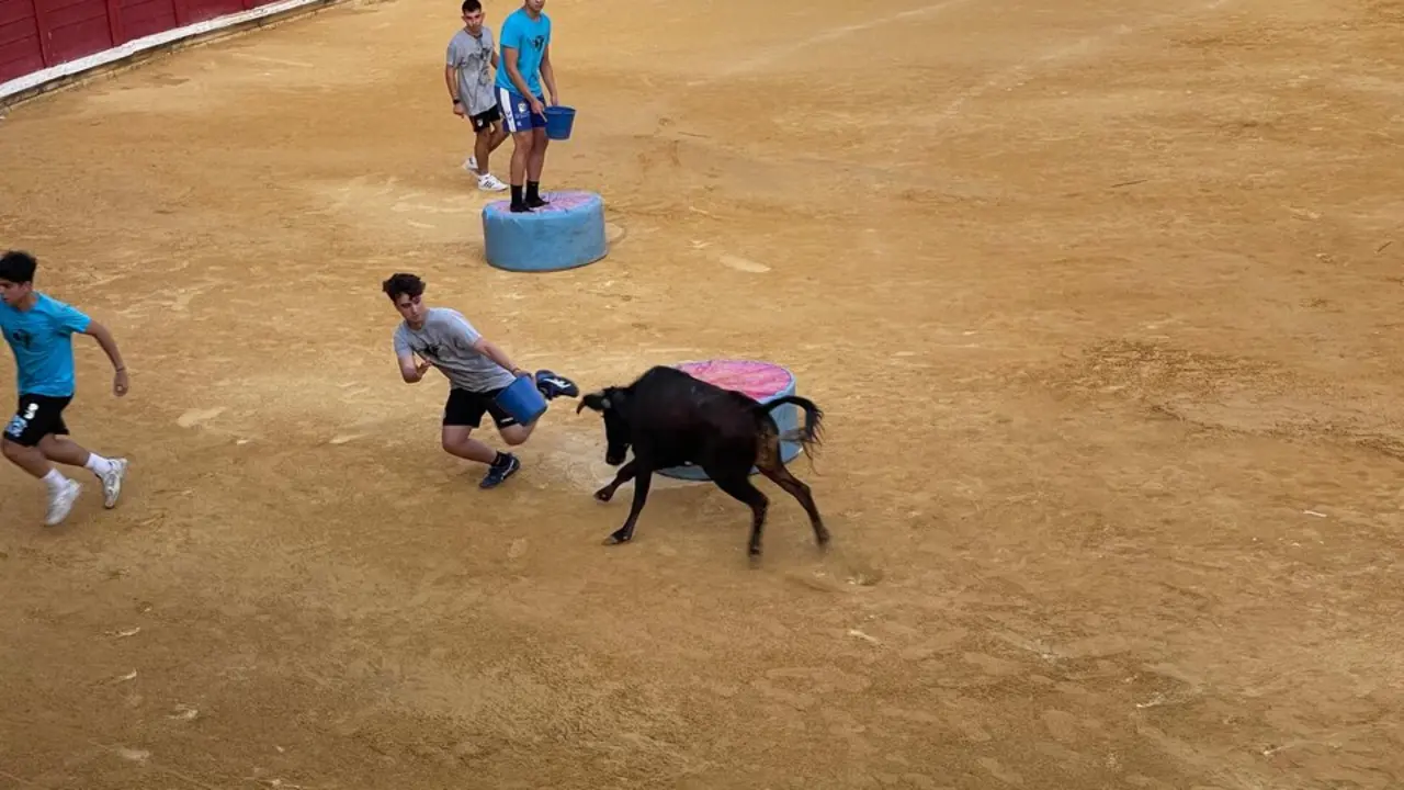 Grand Prix Toro_3