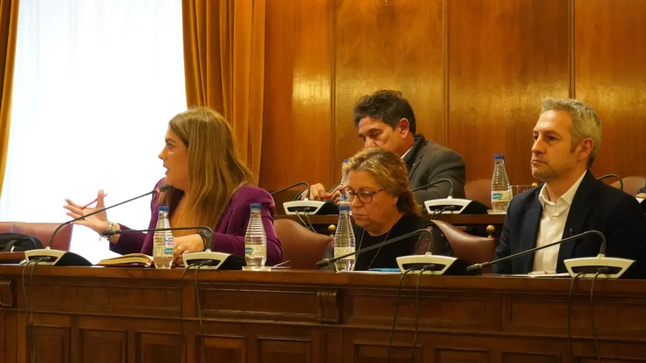 GRUPO SOCIALISTA DIPUTACI&Oacute;N DE ZAMORA