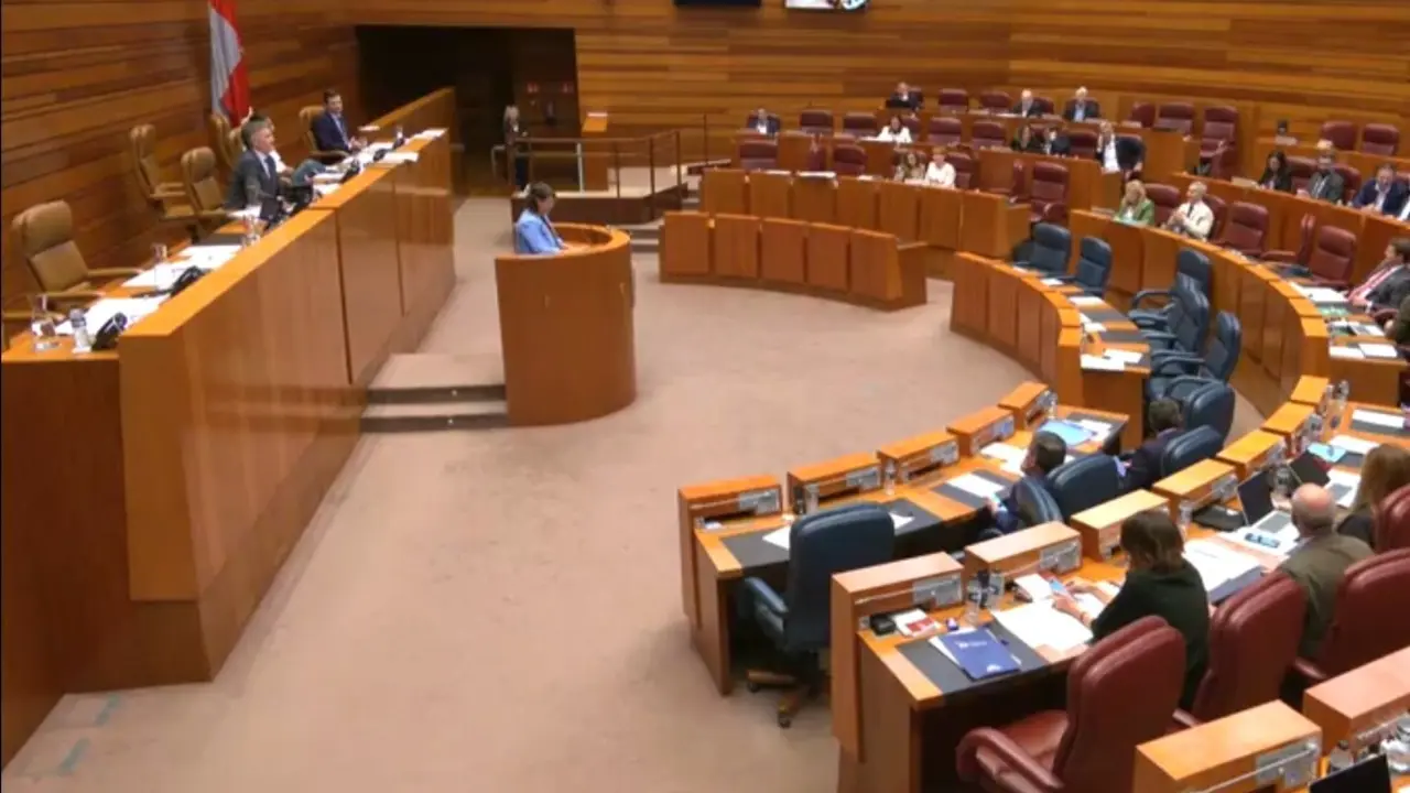 Cortes de Castilla y León. Imagen de Archivo