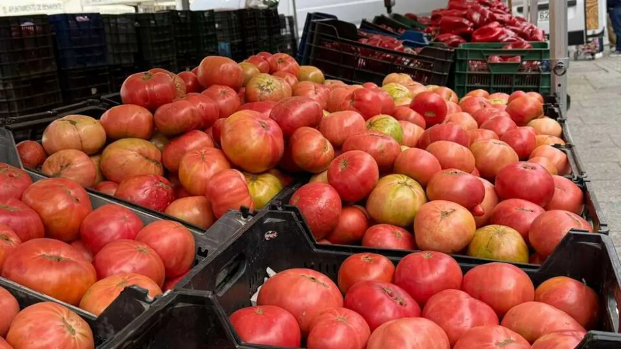 Feria del Pimiento en Benavente _38