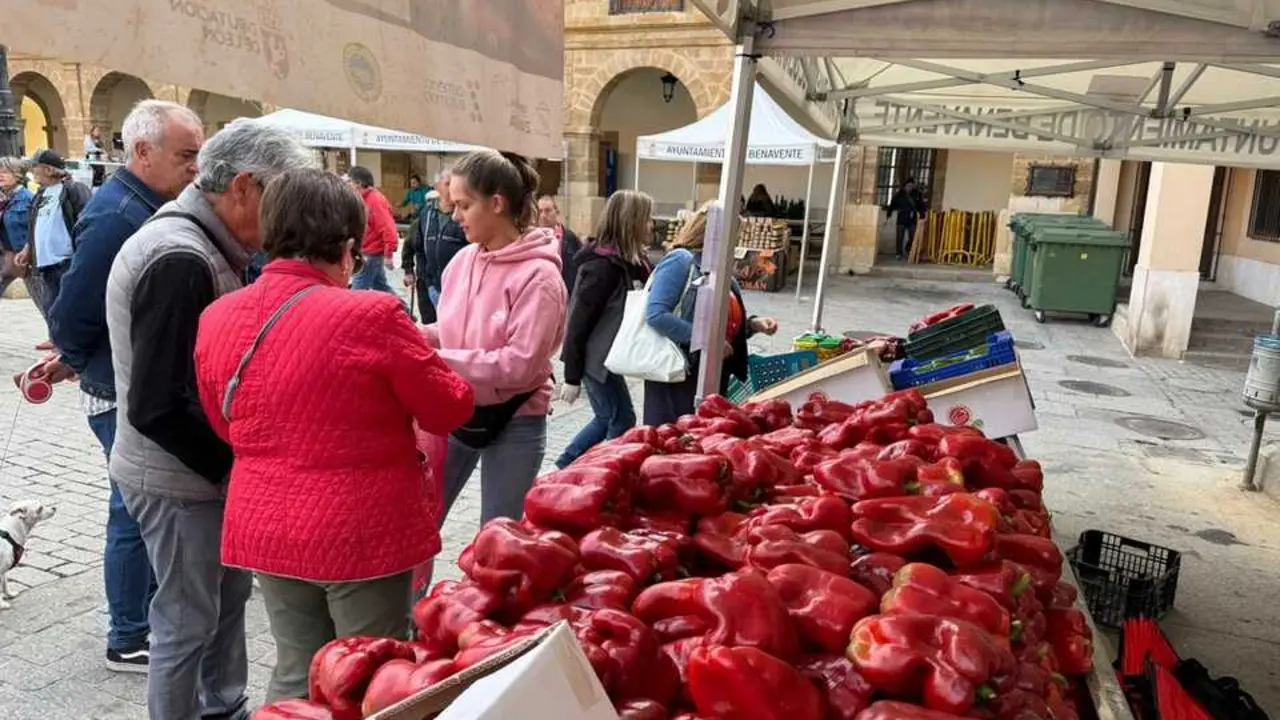 Feria del Pimiento en Benavente _47