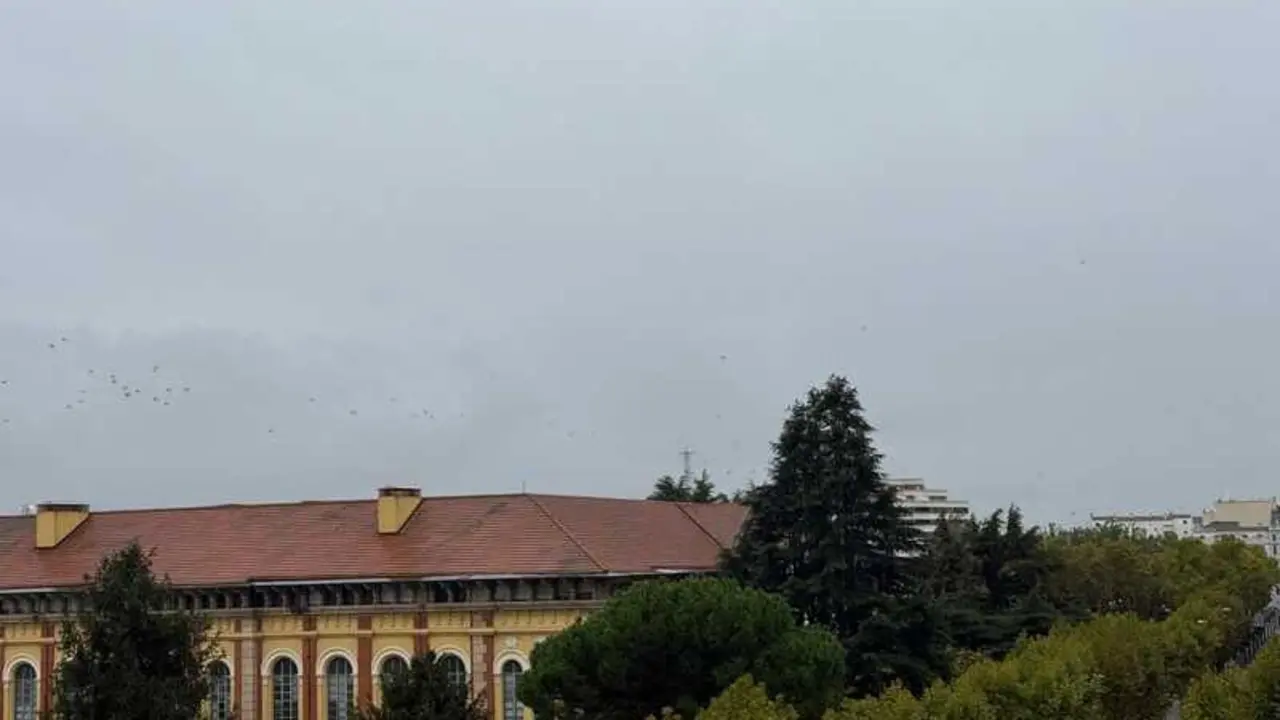 d&iacute;a de lluvia _3