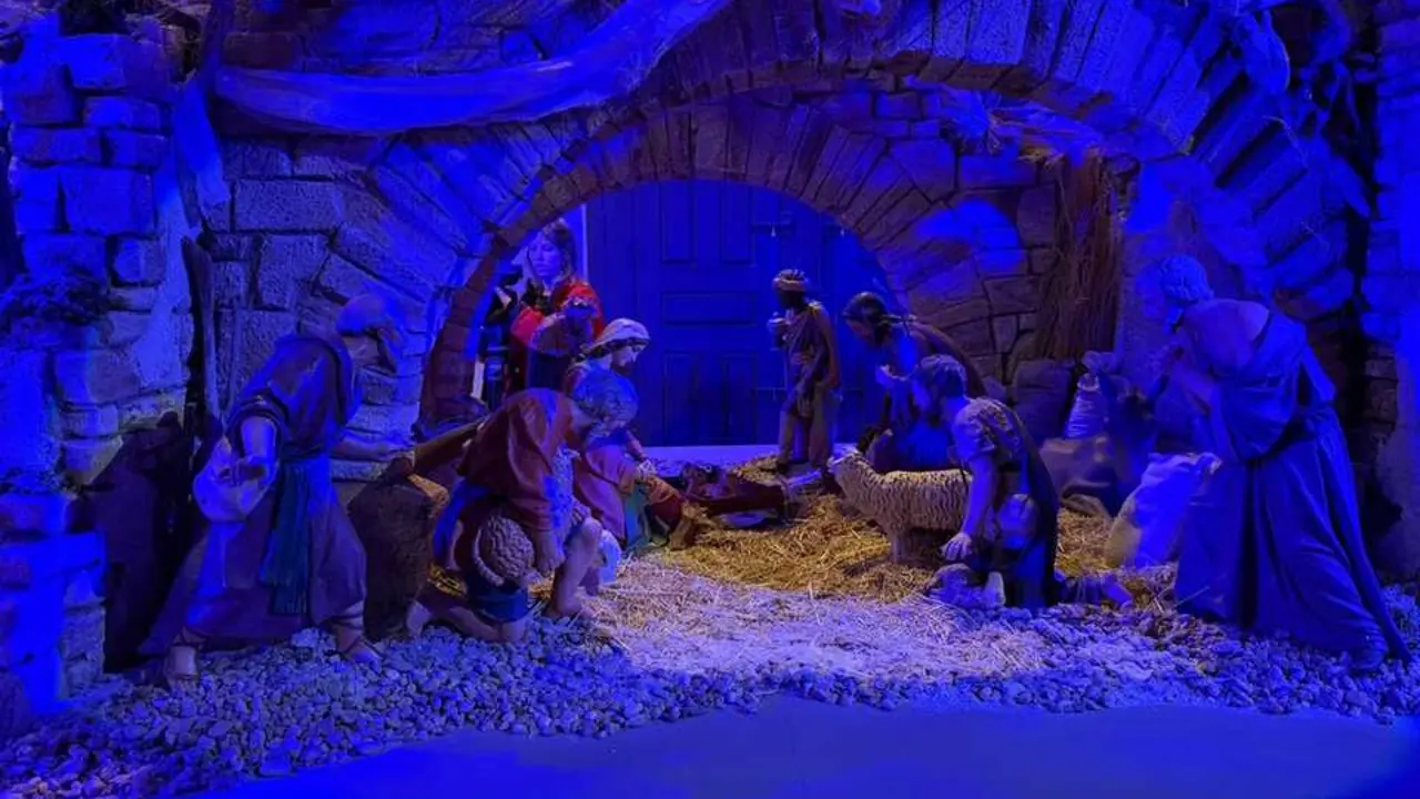 Belén Municipal Zamora _11