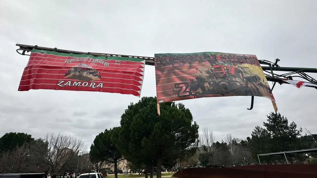 agricultores y ganaderos en la protesta de las Cortes (6)