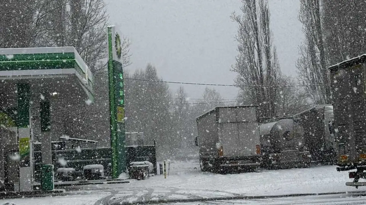 camiones embolsamiento _6