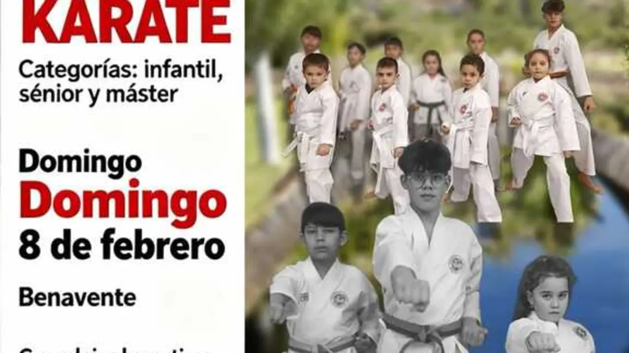 Karate Benavente