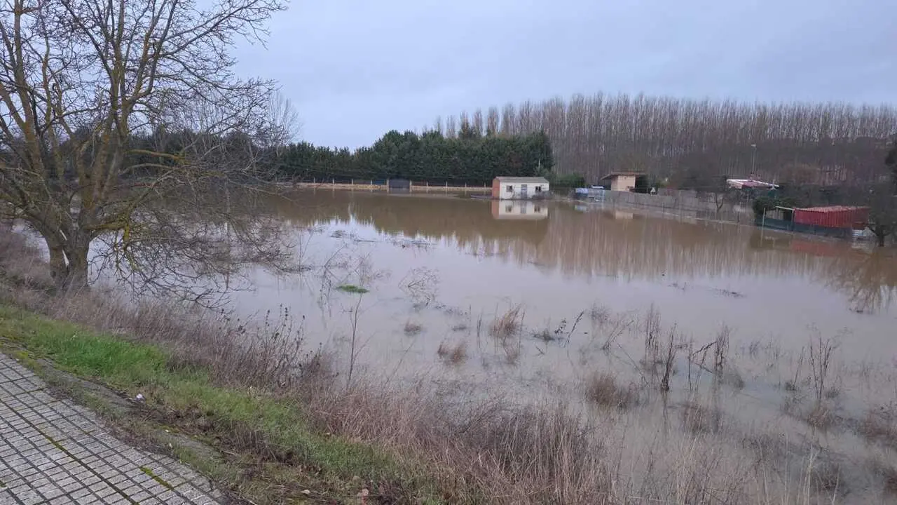  Polic&iacute;a Local de Benavente ha procedido a cortar el acceso al Camino de las Huertas (2)