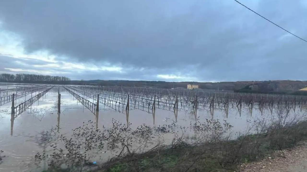 Toro inundaciones Duero _10