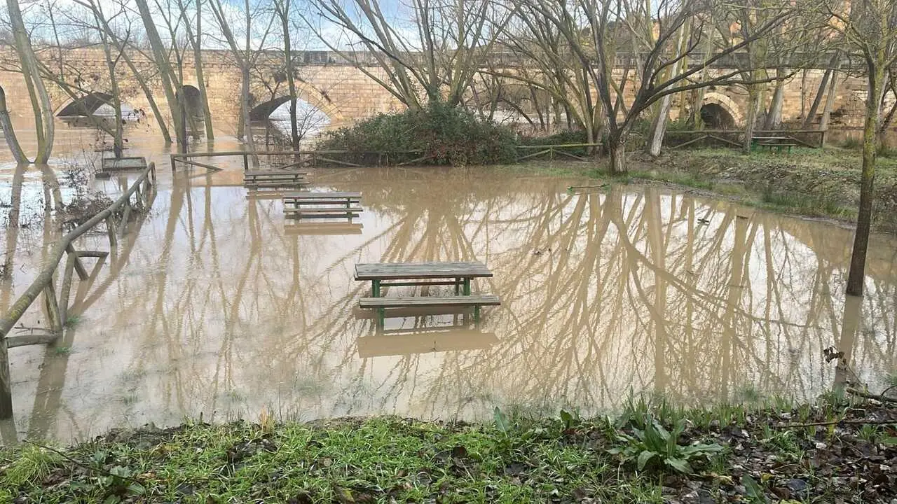 Toro inundaciones Duero _11