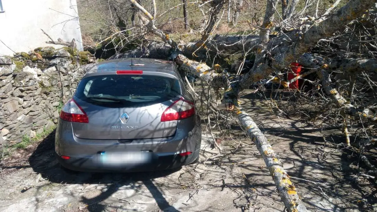 Da&ntilde;os de la borrasca en Zamora_11