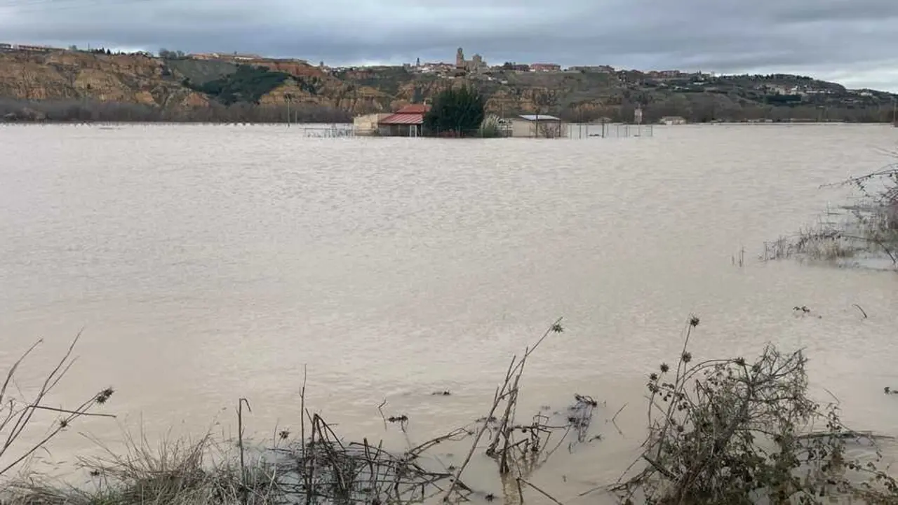 Duero desbordado en Toro _5