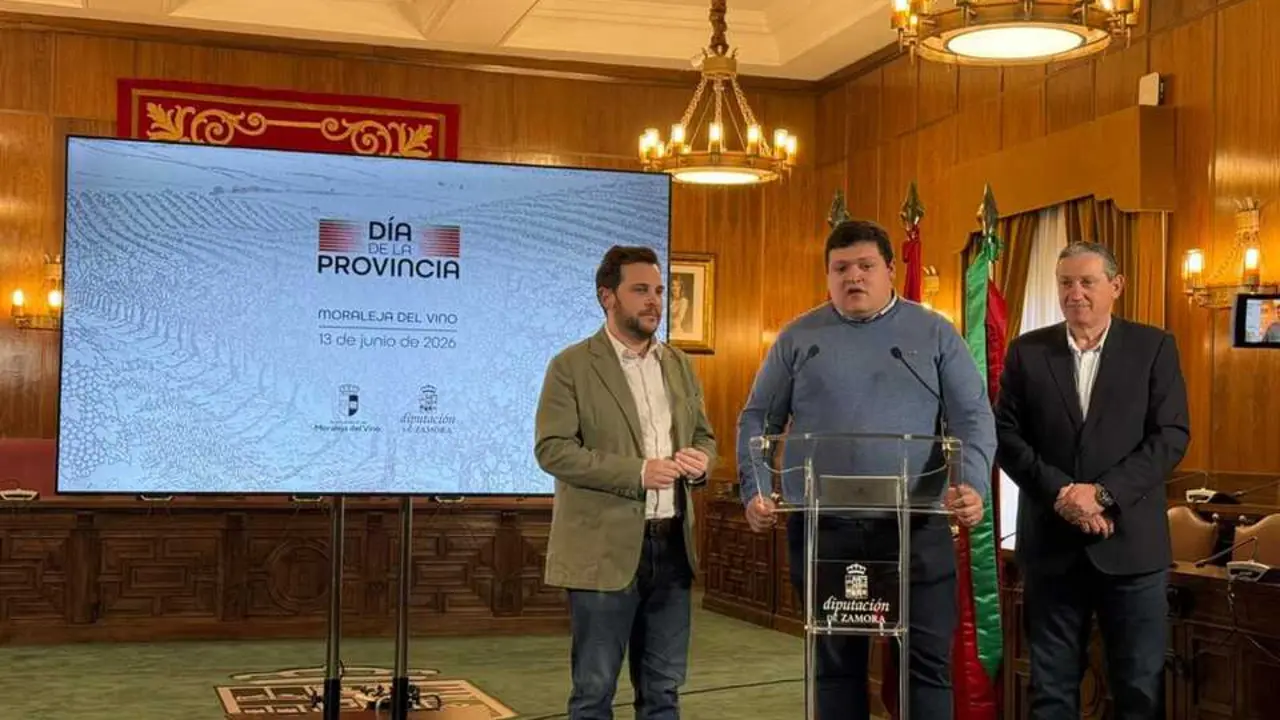 D&iacute;a de la provincia Moraleja del Vino 