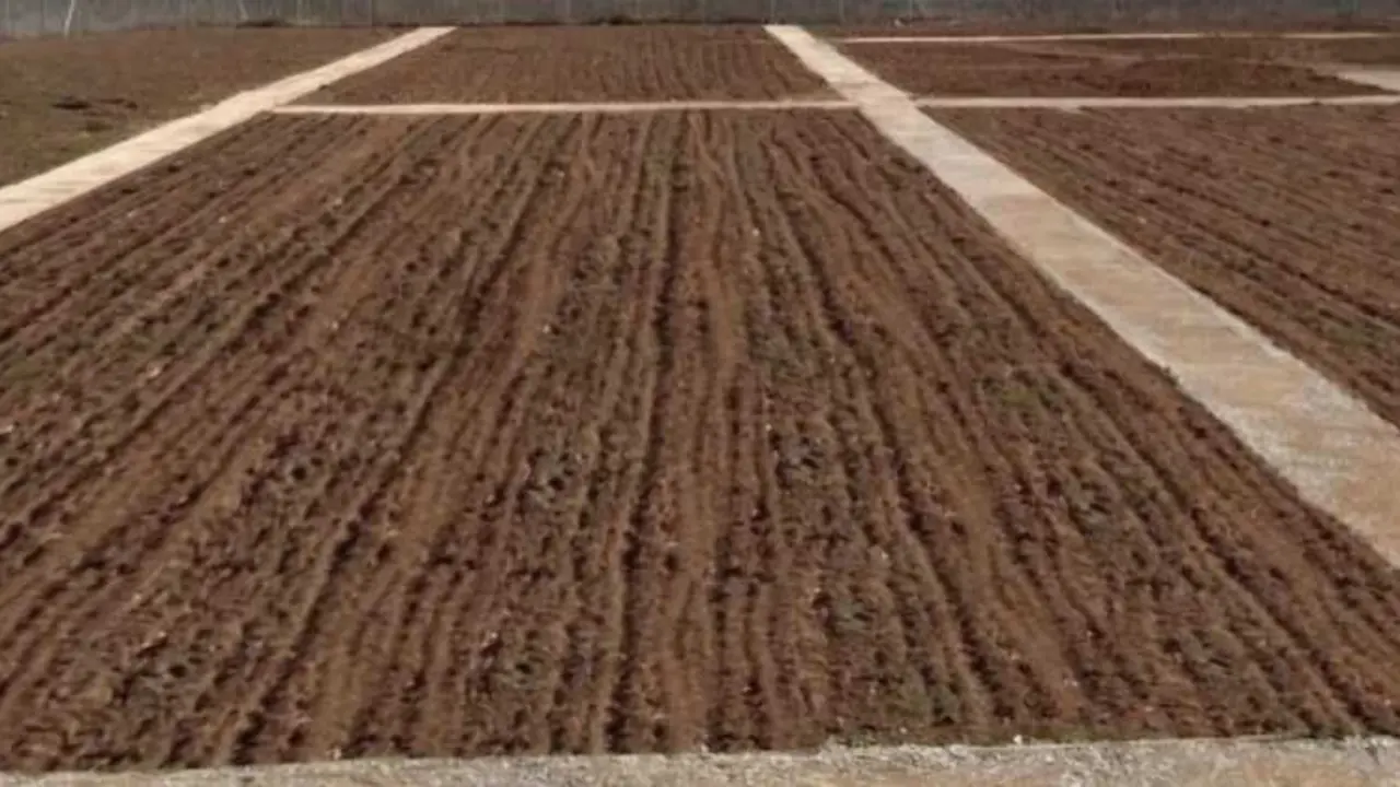 Parcela en Villaralbo para huertos de ocio