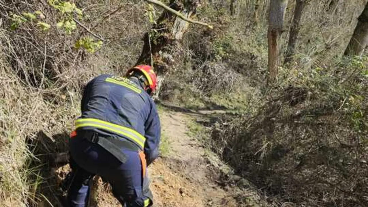 Bomberos de Toro actuaci&oacute;n en caminos