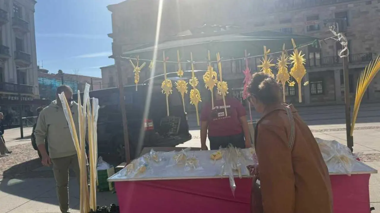 Puestos de palmas Zamora  _10