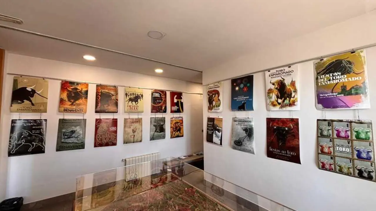 Exposici&oacute;n Toro Enmaromado de Benavente