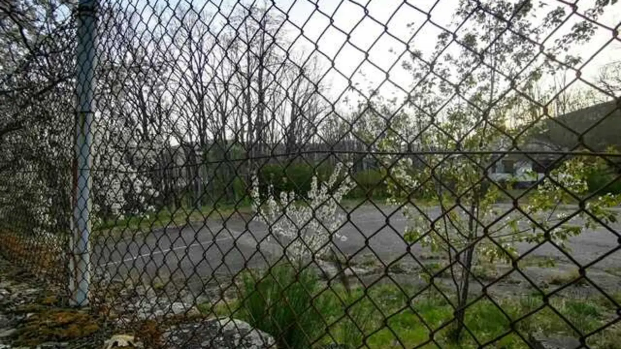 PHOTO-2026-04-04-19-34-13 (2)