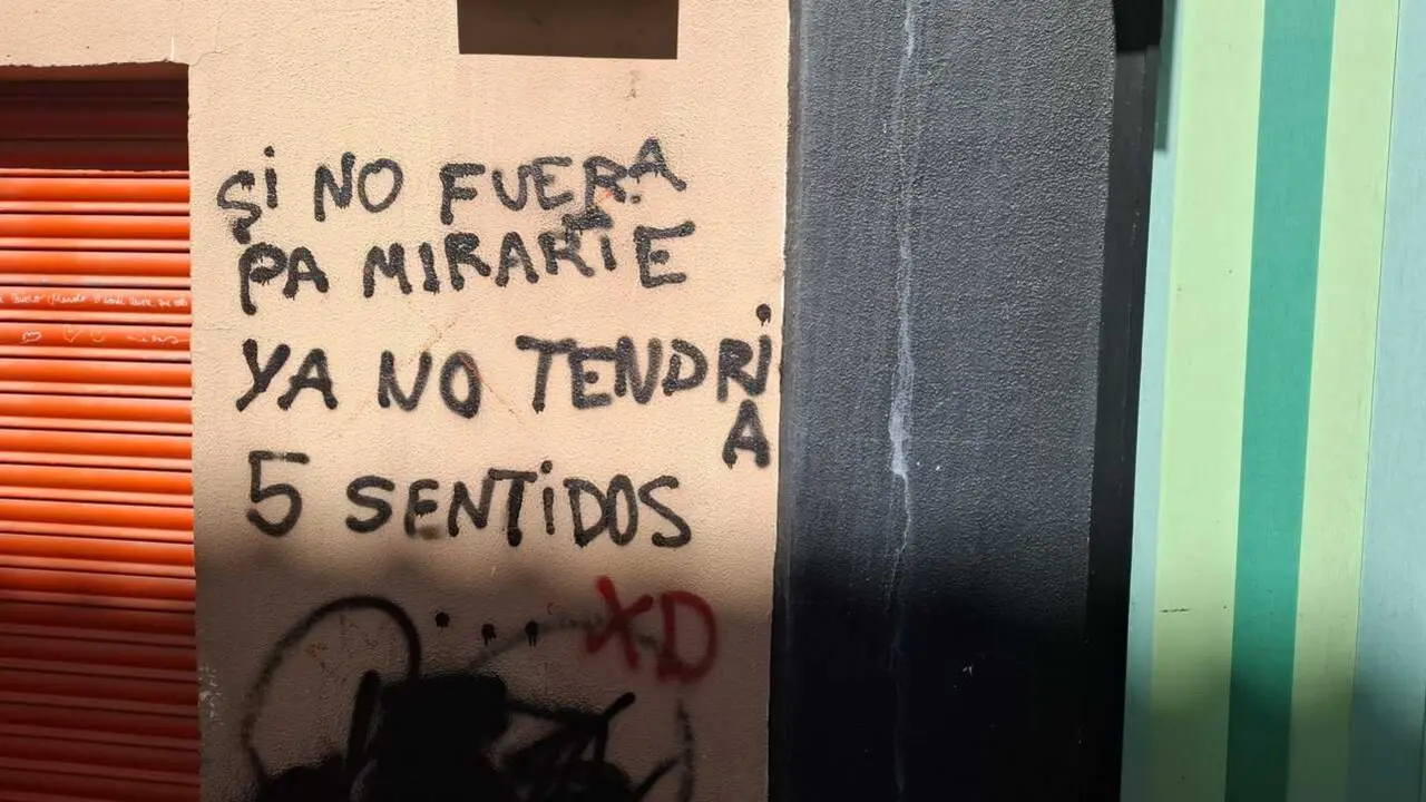 Pintada en Pasaje de Olmedo de Zamora