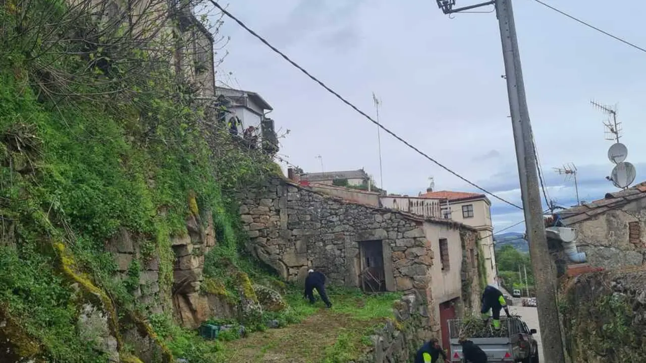 Programa de empleo y formaci&oacute;n Fermoselle