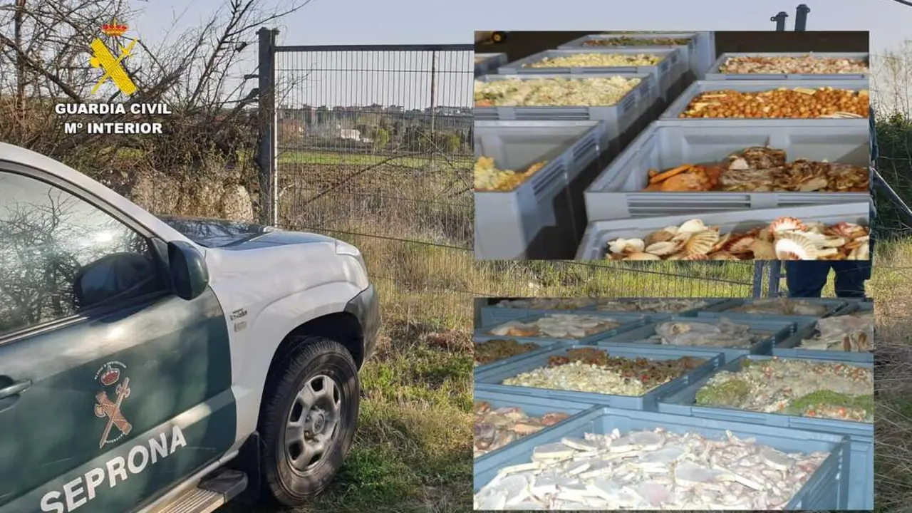 Productos decomisados en la intervenci&oacute;n del Seprona