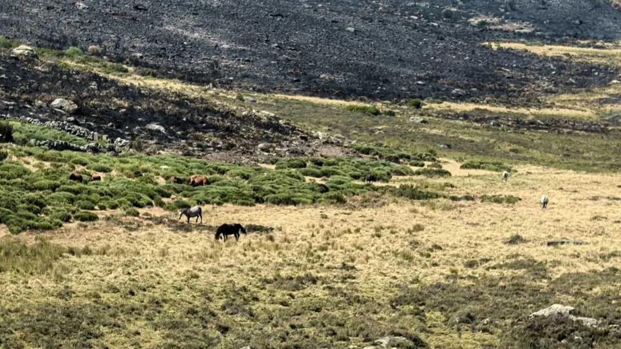 incendios sierrade la culebra