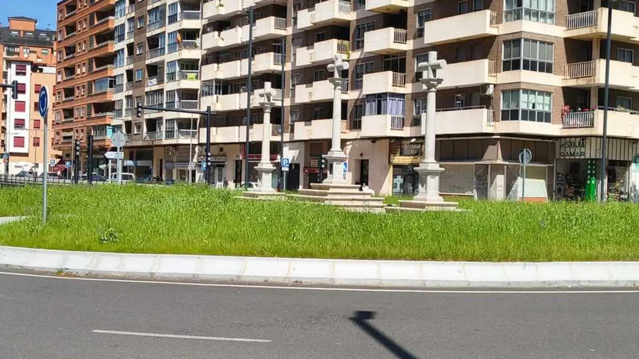 maleza Cardenal Cisneros _2