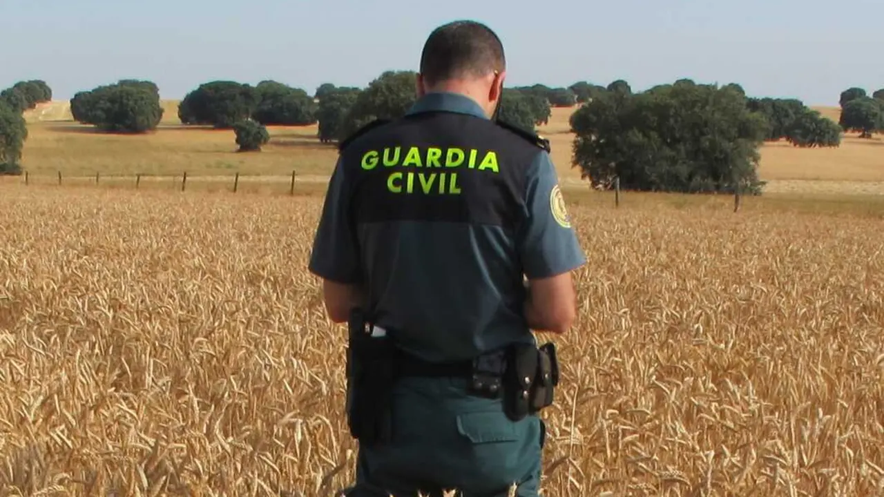 Guardia Civil