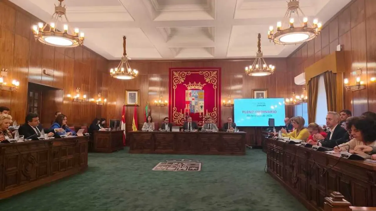 Pleno Diputaci&oacute;n _2