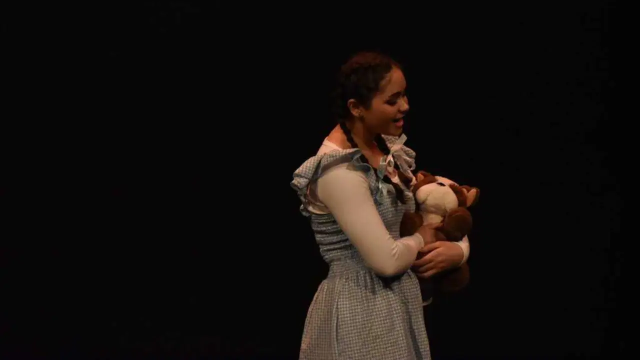  The Wicked Wizard of Oz Teatro Escolar _6