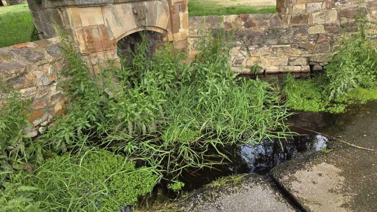 Fuente del Monasterio de Granja de Moreruela