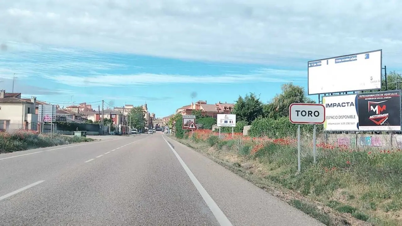 Toro15