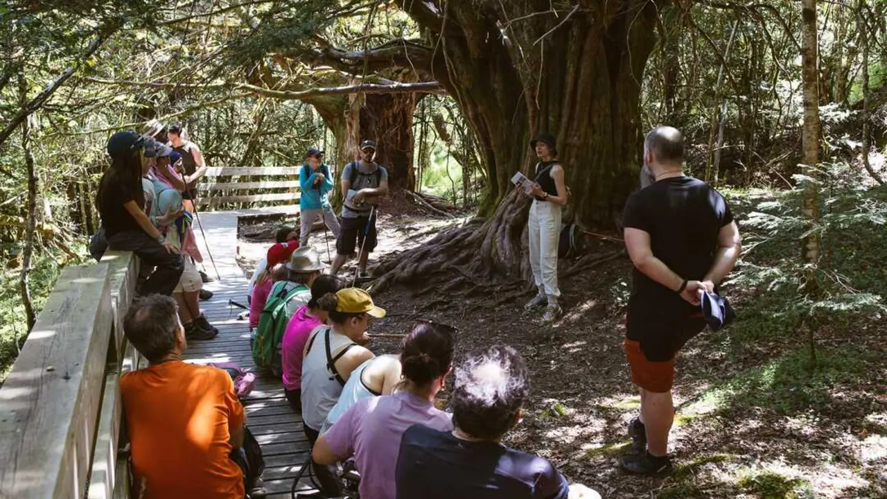 Participantes durante la ruta interpretativa celebrada en el Tejedelo, guiada por la bi&oacute;loga Carla Benito Zamarro, dentro de las actividades del proyecto &ldquo;Del Tejedelo al Cielo&rdquo;, impulsado por el Ayuntamiento de Requejo y financiado por el Ministerio para la Transici&oacute;n Ecol&oacute;gica y el Reto Demogr&aacute;fico (MITECO).

Fotograf&iacute;a: &copy; Nico Rodr&iacute;guez
