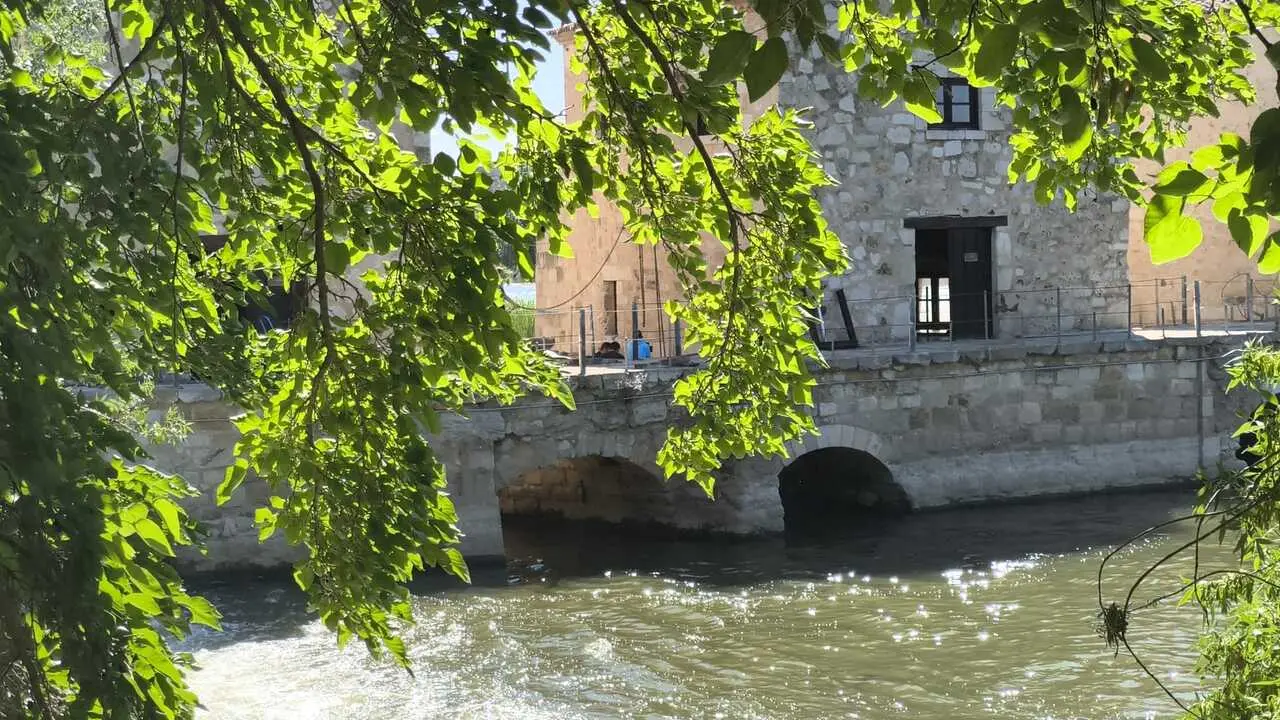 Vista del r&iacute;o Duero en las Ace&ntilde;as de Olivares