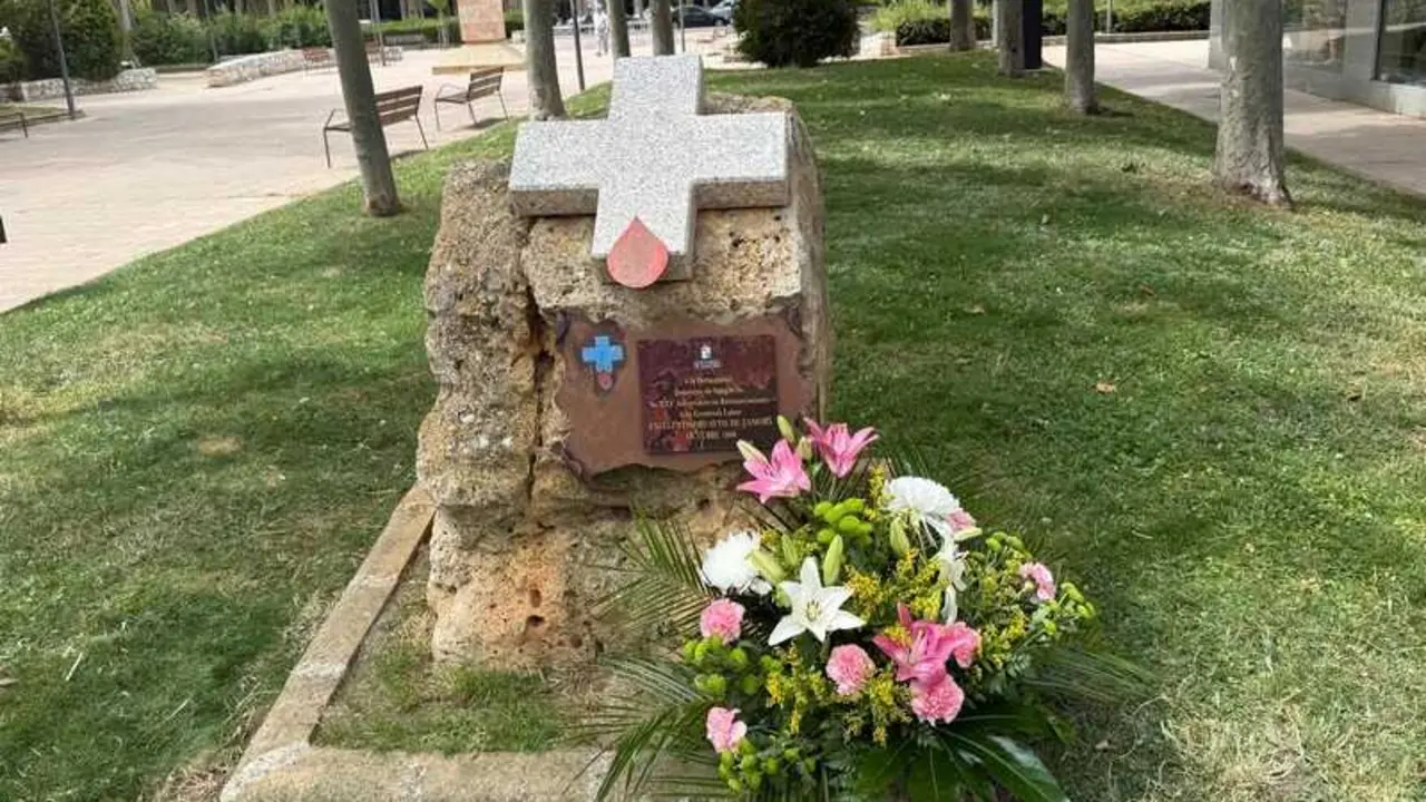 d&iacute;a del donante de sangre en Zamora_10