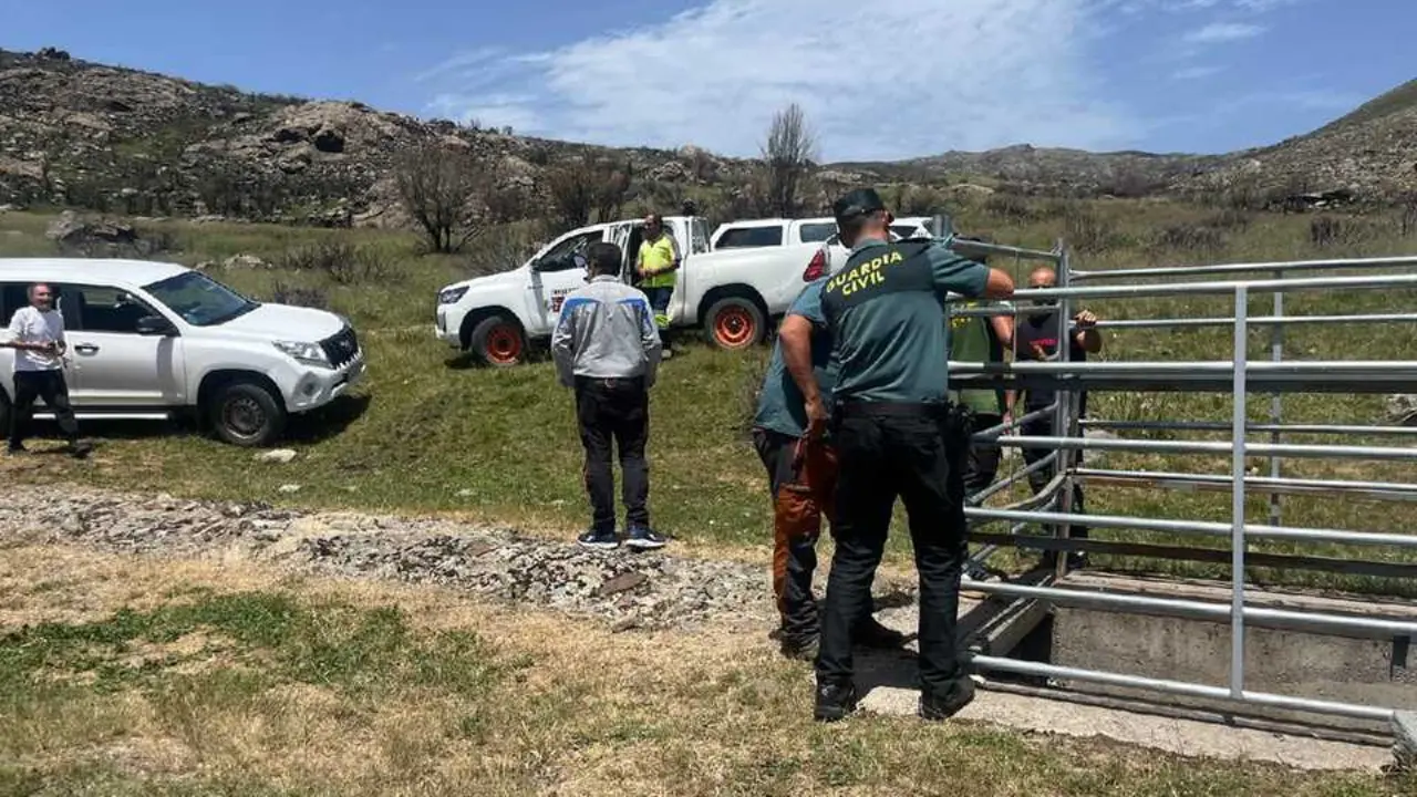 rescate de un Toro en Sanabria  (1)