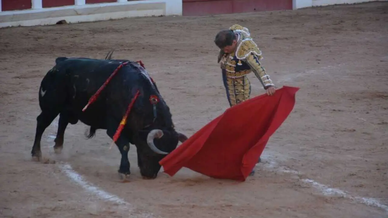 segunda de abono toros 2026 san pedro_74