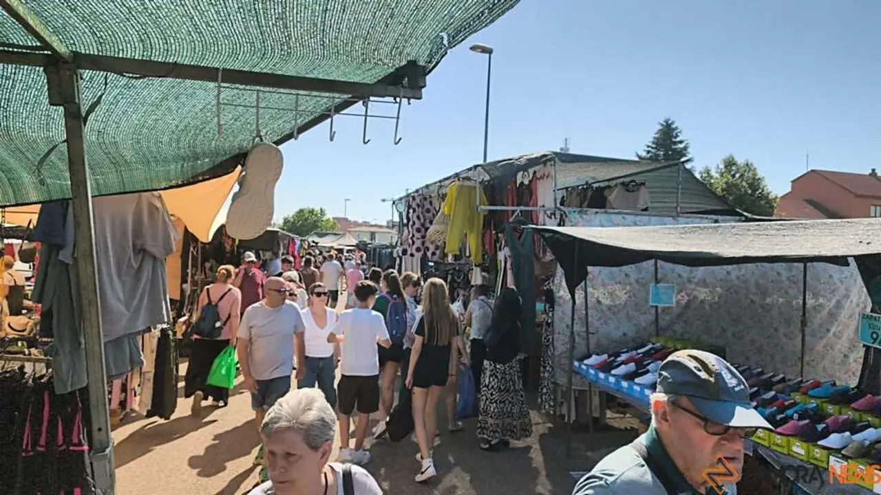 Mercadillo Zamora_2