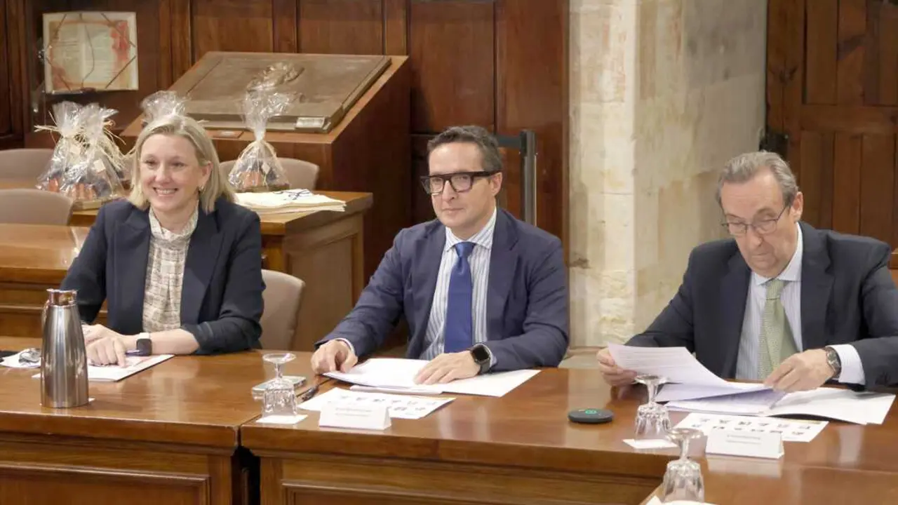 C&aacute;tedra Fundaci&oacute;n Personas, discapacidad y futuro
